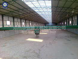 新型有機肥濕法造?，F(xiàn)場